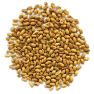 Organic Roasted Soy Nuts - No Salt