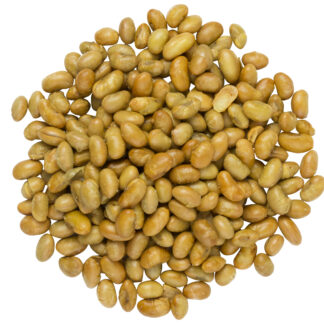 Organic Roasted and Salted Soy Nuts