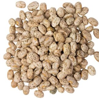 Organic Pinto Beans