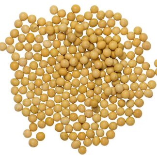 Organic Soybeans
