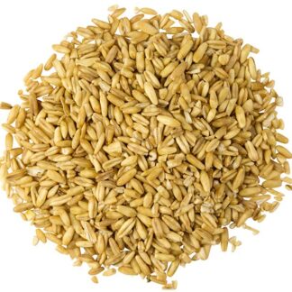 Organic Oats - Groats