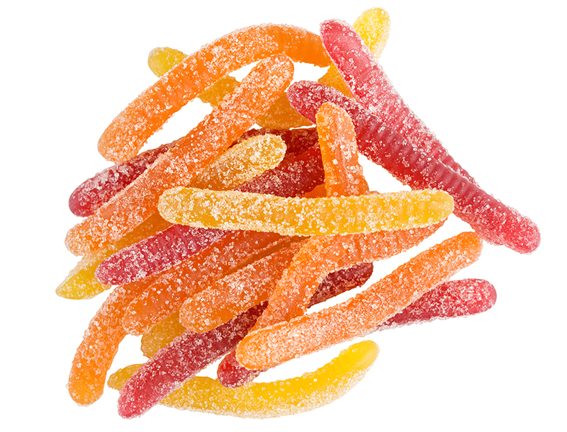 Organic Sunny Worms