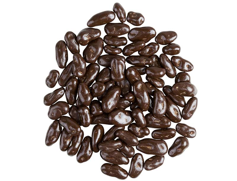 Organic Fair Trade Dark Chocolate Goji Berries