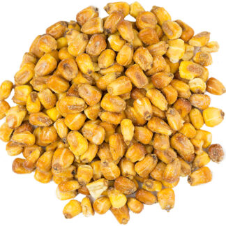 Jumbo Corn Nuggets, Roasted and Sea Salted