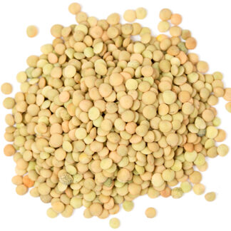 Organic Lentils - Green