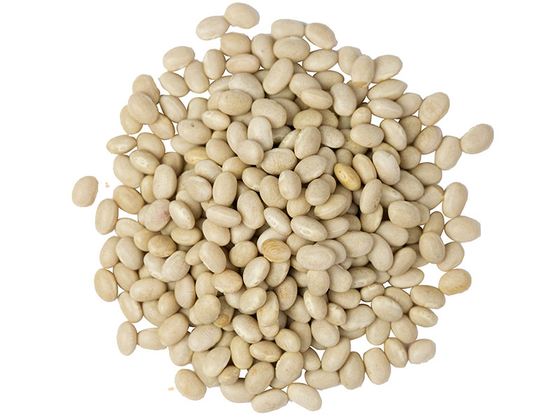 Organic Navy Beans