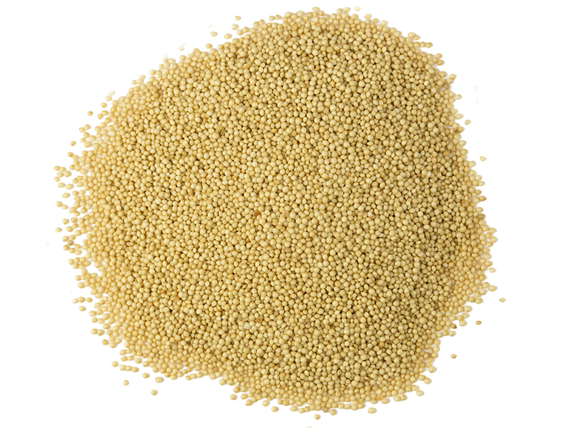Organic Amaranth