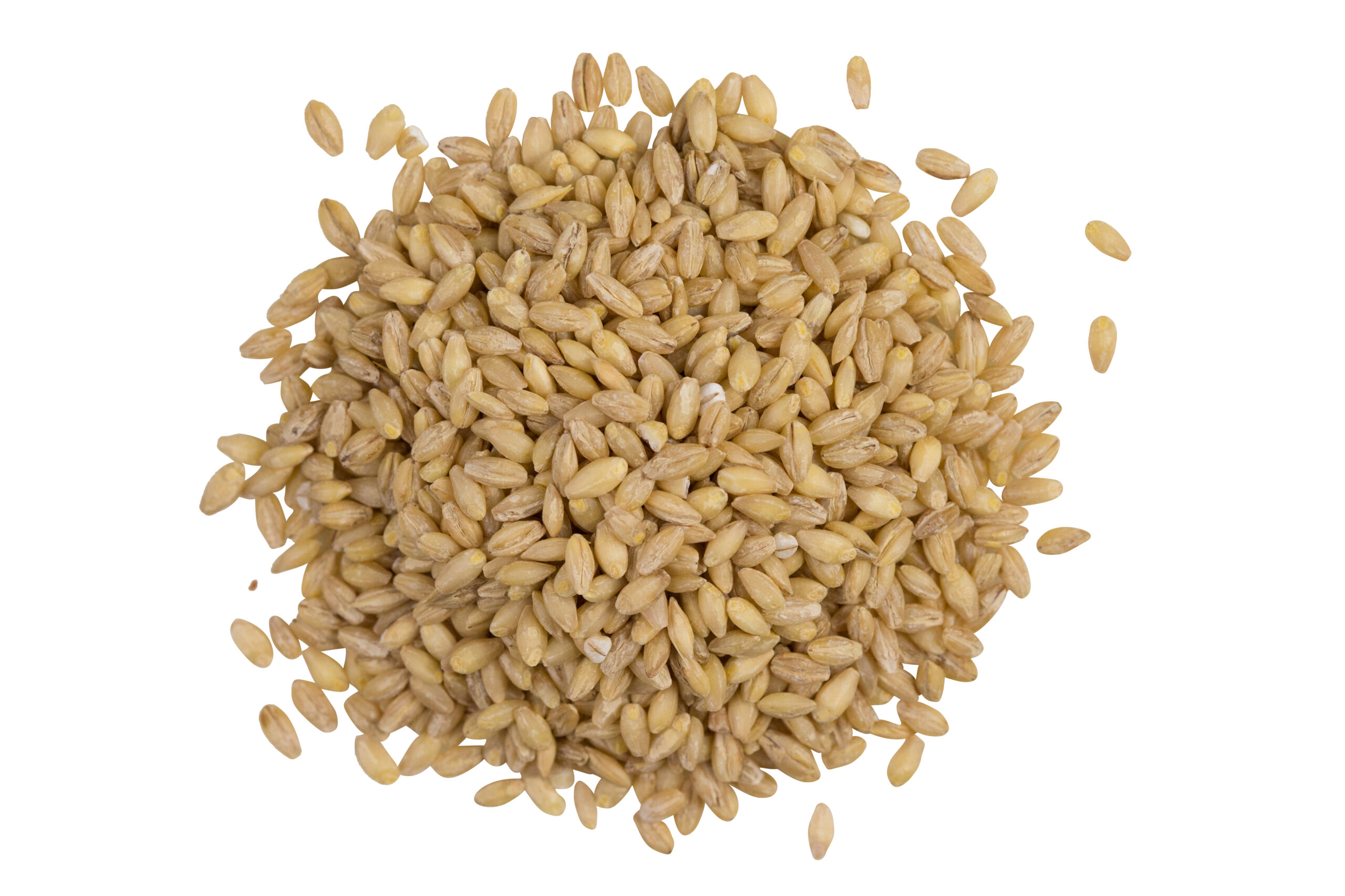 Organic Hulled Barley