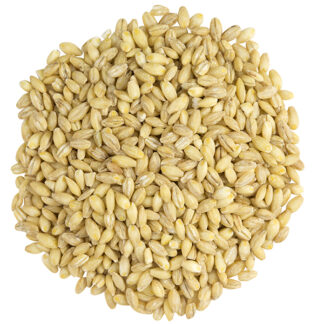 Organic Pearled Barley