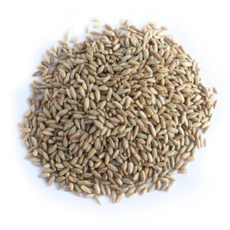 Organic Rye Berries