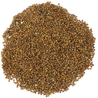 Organic Red Quinoa