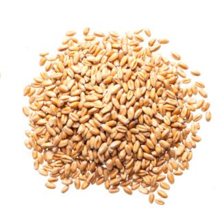 Organic Soft Wheat Berries