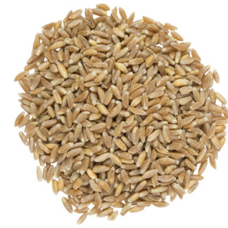 Organic Pearled Farro Wheat