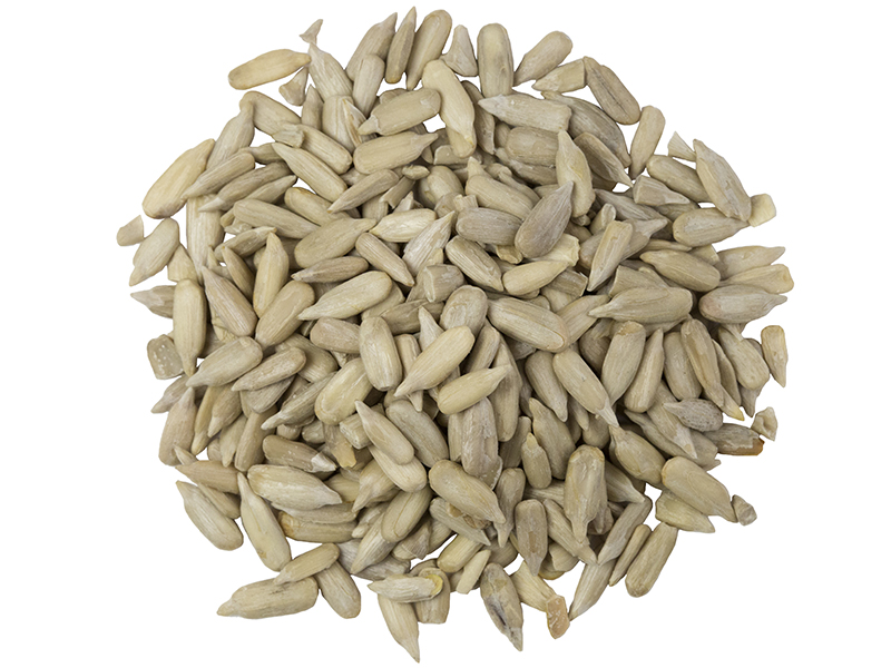 Organic Sunflower Seeds - North American Grown